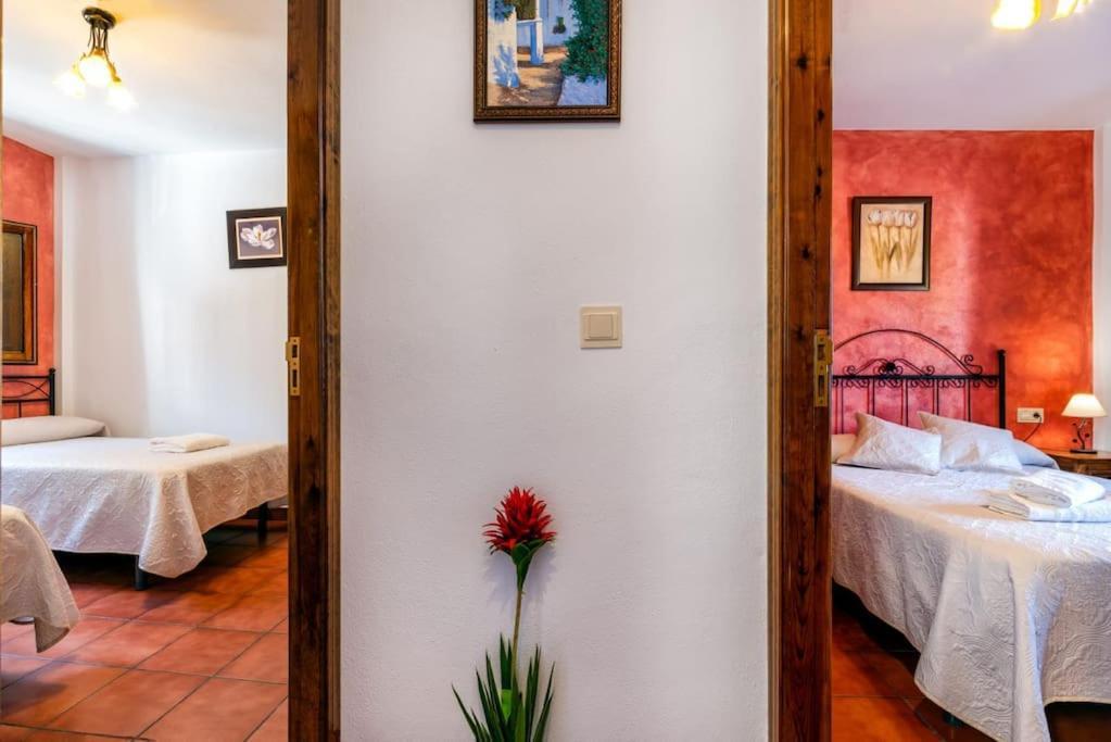 Casa Jose Capileira - Alpujarra Διαμέρισμα Εξωτερικό φωτογραφία